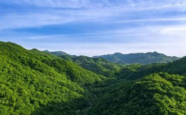 感恩父爱如山的演讲稿7篇