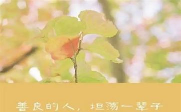 慈善月活动方案6篇