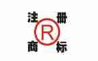 商标异议的申请书6篇