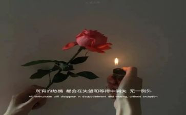 伤感情的作文精选7篇