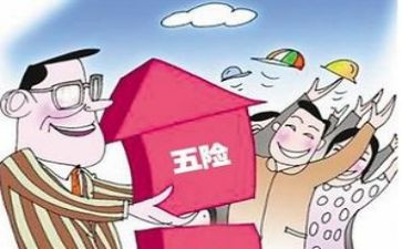 社保员述职报告5篇