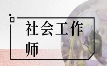 社工岗个人总结精选5篇