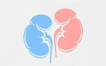 肾内科的实习心得体会通用8篇