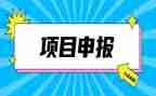 教师申报高级述职报告范文6篇