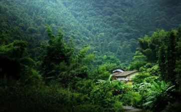 留在记忆深处的作文5篇