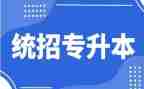 考专升本的心得体会7篇