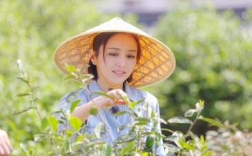 轻生活调查报告7篇