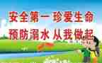 生命活动的总结8篇