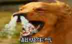 他生气了作文500字优秀5篇