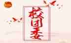 省团代表发言稿范文最新8篇