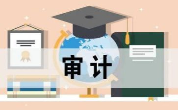 2024审计工作报告7篇
