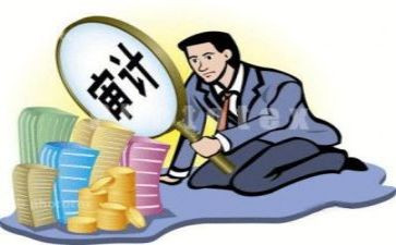 审计论总结报告7篇