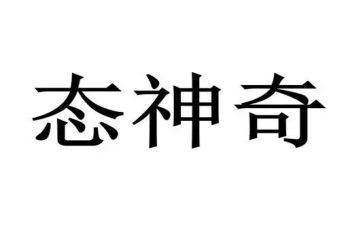 中班科学神奇的风教案5篇
