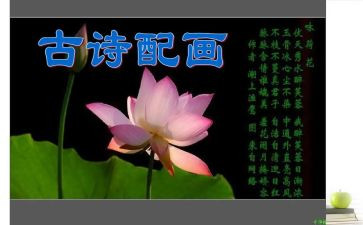 自编诗作文推荐6篇