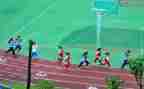 实践活动体会300字6篇