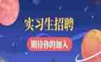月实习报告个人总结通用7篇