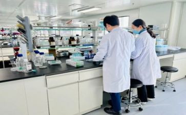 数学实验周心得体会8篇