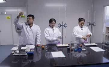 试验年终总结报告7篇