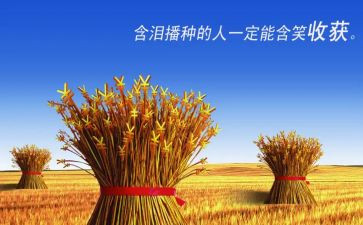 暑假工的收获心得体会6篇