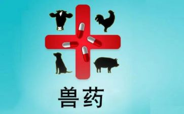 兽药厂工作总结参考6篇