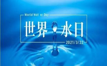 节水日活动总结7篇