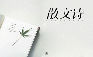 抒情类作文800字8篇