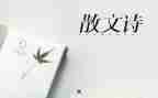 抒情类作文800字8篇