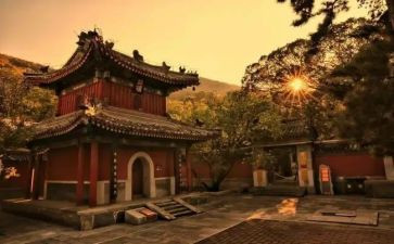 寺管干部述职报告精选5篇