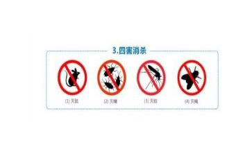 学校除四害工作总结5篇