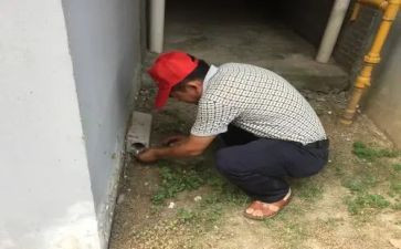 单位除四害工作计划5篇