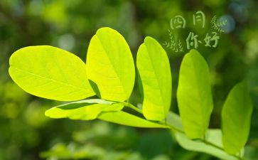 四月天作文模板5篇