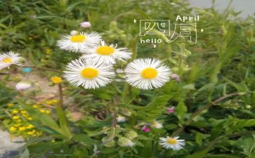 大班四月工作计划最新7篇