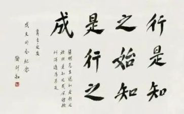 陶行知文集读后感8篇