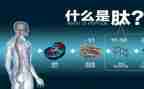 大学实践报告关于肽的报告6篇