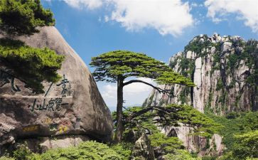 《爬天都峰》读后感7篇