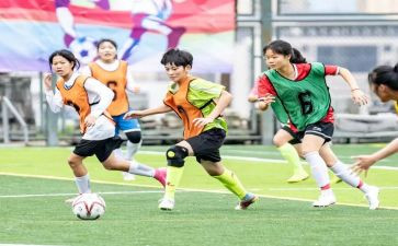 学校体卫处工作总结8篇
