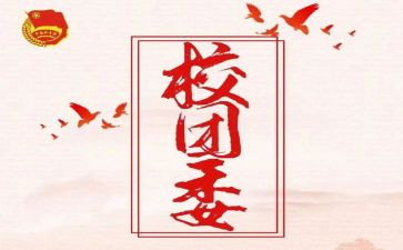 学生会分团委工作总结6篇