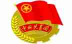 大学团委工作报告7篇