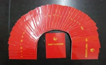 团章的心得体会8篇