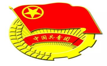 社区团支部工作总结6篇