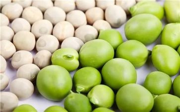 《豌豆上的公主》读后感5篇