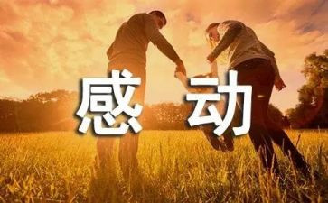 张桂梅感动中国人物事迹6篇