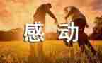 张桂梅感动中国人物事迹6篇