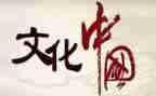 的文化心得体会1000字5篇