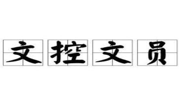 文控工作总结5篇
