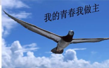 《我的人生我做主》作文精选7篇