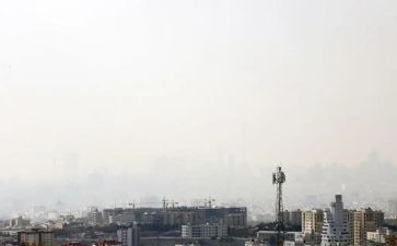 关于环境污染的调查报告6篇