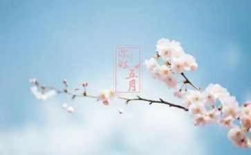 幼儿园五月总结优秀8篇