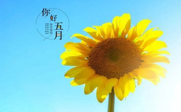 酒店五月工作计划5篇