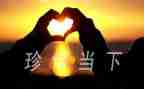 珍惜学生演讲稿7篇